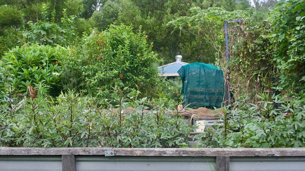 Comment les techniques de permaculture peuvent-elles être adaptées pour la revitalisation des terres contaminées ?