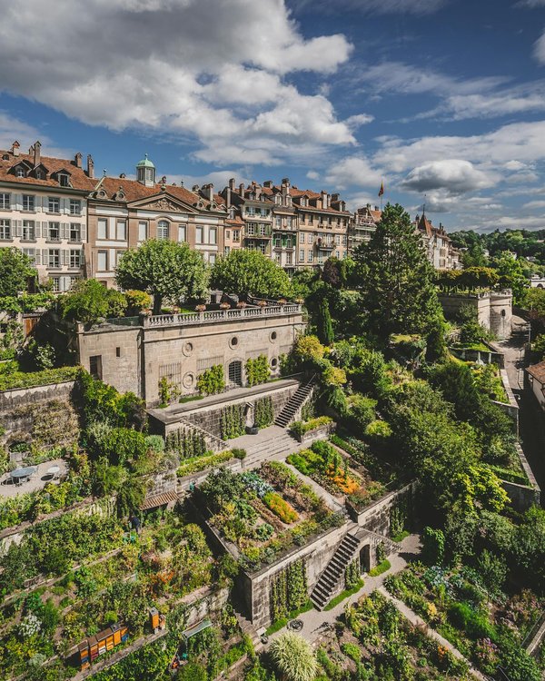Quels sont les impacts de l'implantation de jardins sur les toits pour la qualité de l'air urbain?
